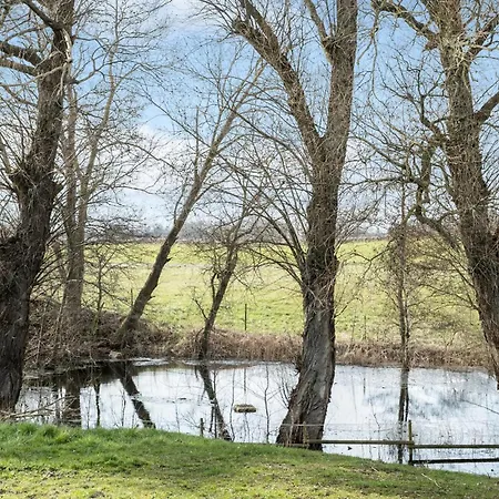 1 Bedroom Awesome In Daire *